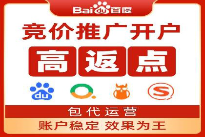 SEM竞价技巧：成功案例揭秘